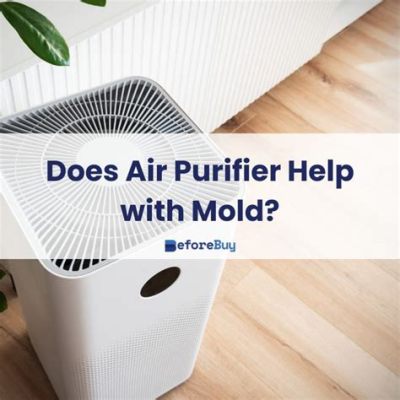 Does Air Purifier Help With Humidity?