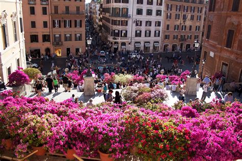 Festa della Primavera 2018: Un trionfo vibrante di cultura vietnamita e unità internazionale