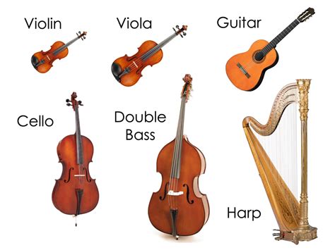 Which of the Following String Instruments Is Usually Not Found in Western Classical Music?